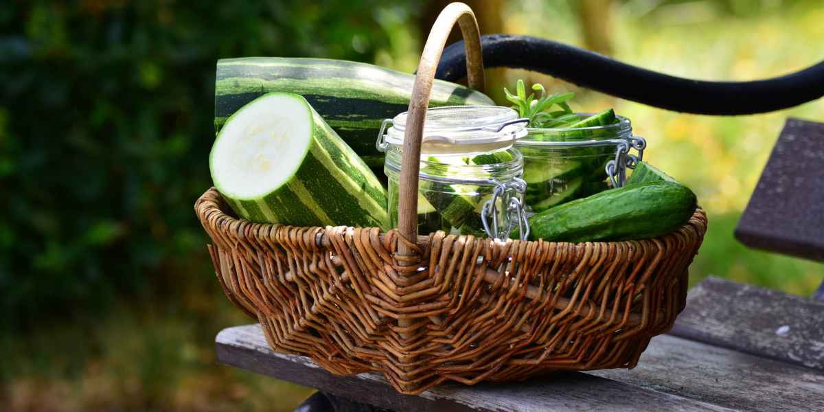 Basket of Vegetables